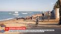 Утраченные поездки: что делать украинцам, которые приобрели туры на отдых до карантина