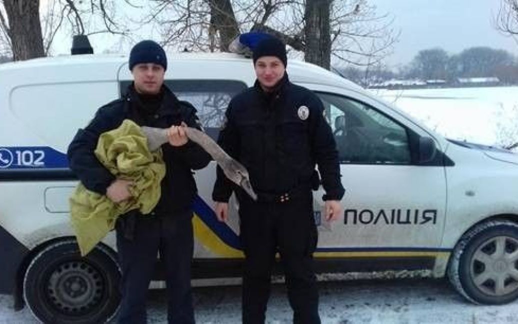 © ГУ Национальной полиции в Киевской области