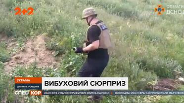 У Кривому Розі чоловік придбав маєток зведений на боєприпасах