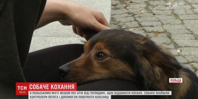 В Польше пес сбежал из дома и сел на поезд, чтобы воссоединиться с любимой