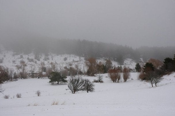 Народні прикмети 9 січня / © pexels.com