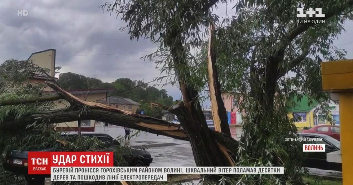 На Волыни бушевала непогода: ветер поломал деревья, а град уничтожил овощи
