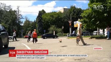 Вибоїни на дорогах Чернівців активісти прикрасили квітами