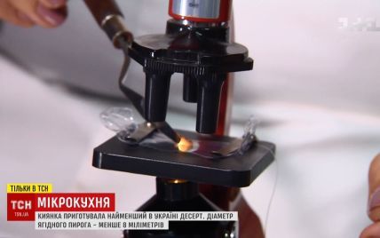 Киевские кондитеры слепили под микроскопом рекордно миниатюрный пирог