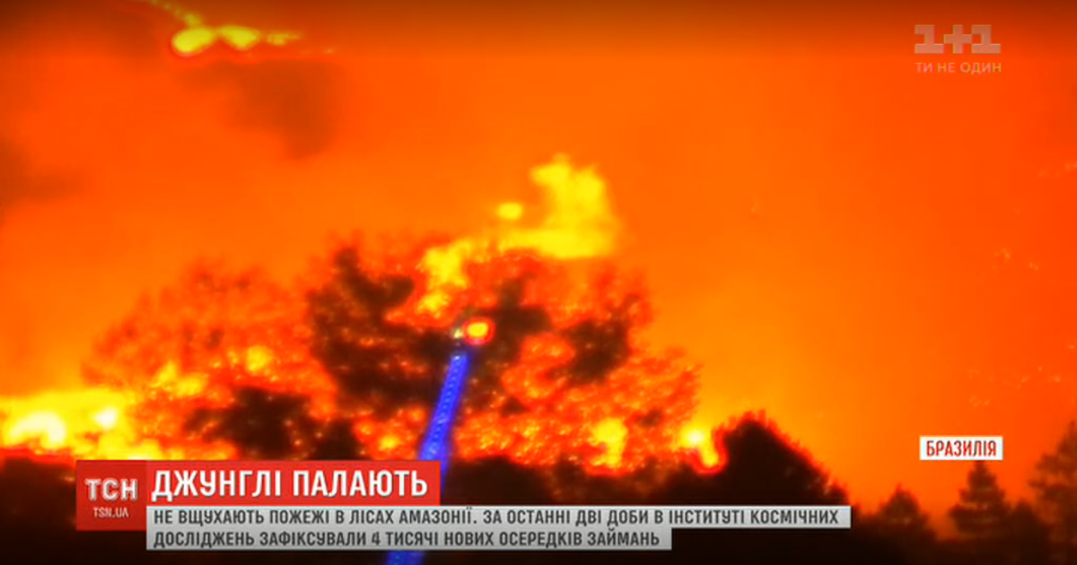 У Бразилії палають джунглі: за дві доби сталося чотири тисячі пожеж