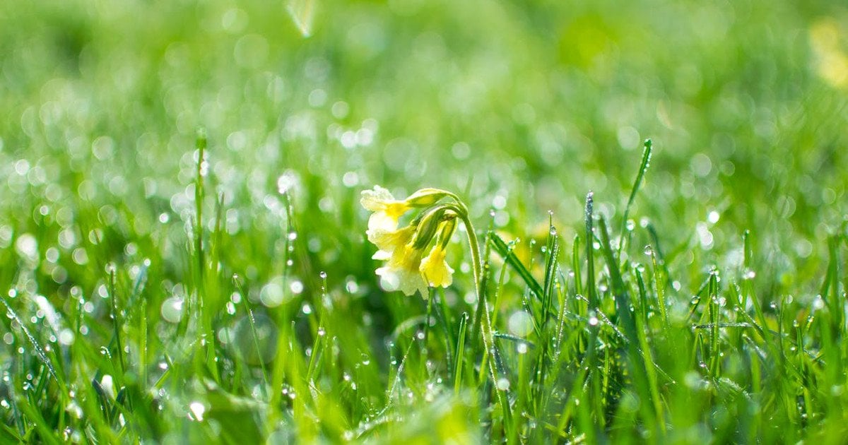 Какой сегодня, 15 марта, день ангела