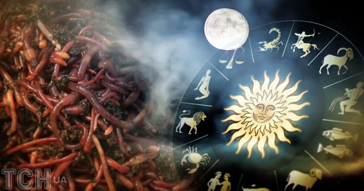 Кривава повня хробака