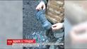 Двоє українських воїнів загинули на передовій, шестеро - дістали поранення