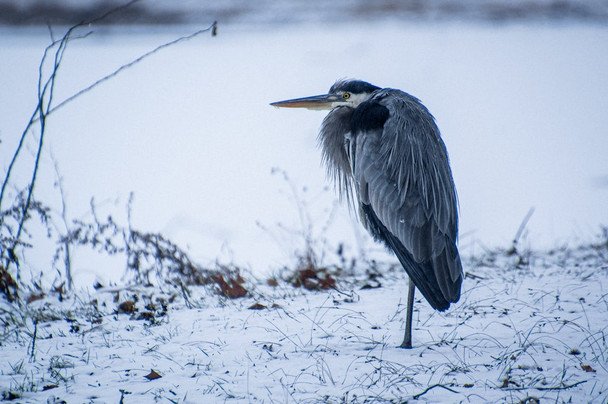 Народні прикмети 29 грудня / © pexels.com
