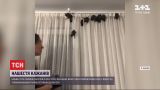 Нашествие рукокрылых: в одном из офисов Харькова поселилась колония летучих мышей
