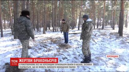 На Херсонщине браконьеры безжалостно поубивали косуль