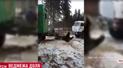 В России большой медведь застрял в окне вагончика для рабочих