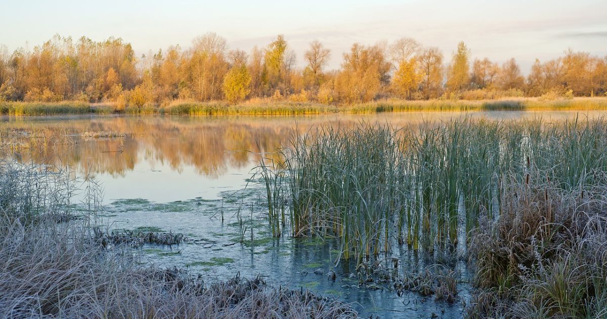 В Украину пришло похолодание