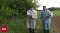 Захворюваність на сказ зростає! На Волині придумали, як боротися зі смертельною хворобою!