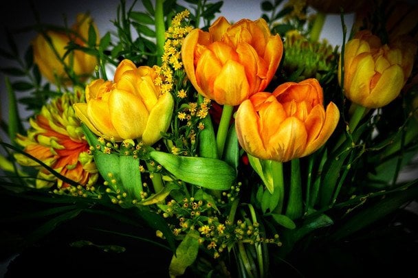 Angel Day May 11 - Sincere congratulations in prose