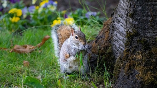 Народні прикмети 18 травня / © unsplash.com
