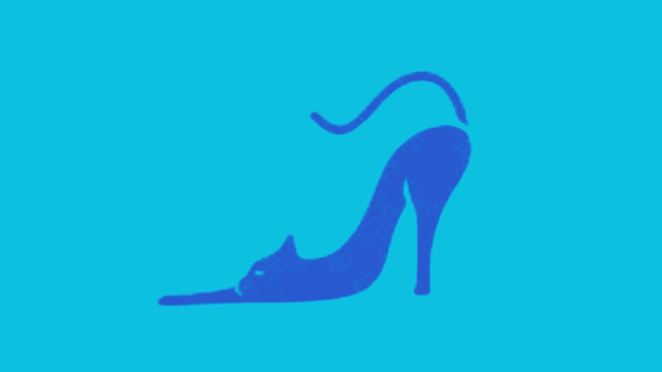 Тест - кіт чи взуття Фото Абмейервуд