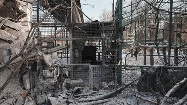 наслідки російського обстрілу екопарк Фельдман_1 / © Суспільне