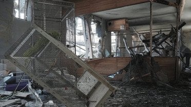 наслідки російського обстрілу екопарк Фельдман_3 / © Суспільне