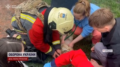 Небачена жорстокість у Харкові й на Київщині! Моторошні кадри з розбитої Шахедом ветклініки!