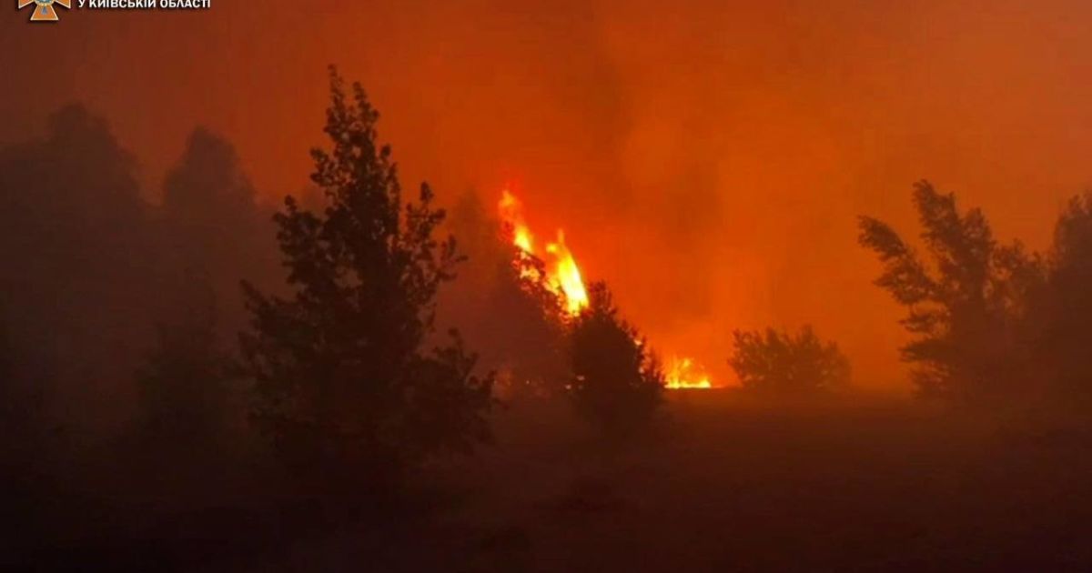 Біля Чорнобильської зони знову масштабно горів ліс: одну жінку врятували (фото і відео)