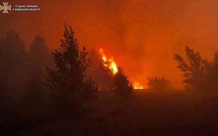 Возле Чернобыльской зоны снова масштабно горел лес: одну женщину спасли (фото и видео)