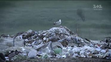 Мешканці околиць Львова страждають від звалищ сміття