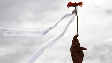 Жива стіна на кордоні із Мексикою_7 / © Reuters