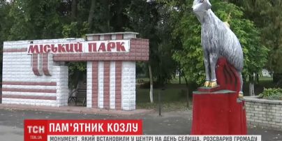 На Чернігівщині громада пересварилася через пам'ятник козлу у центрі селища
