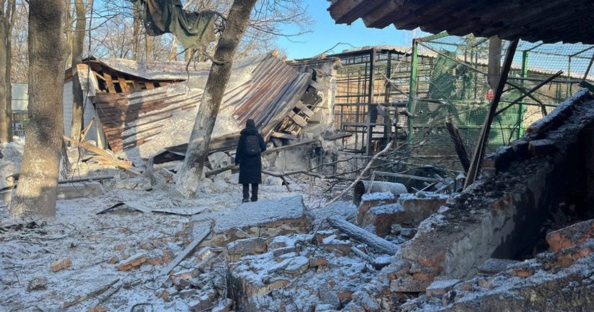 Наслідки удару по «Фельдман Екопарку»