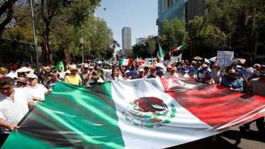 У Мексиці тисячі людей протестують проти ідеї Трампа про будівництво стіни з країною_4 / © Reuters