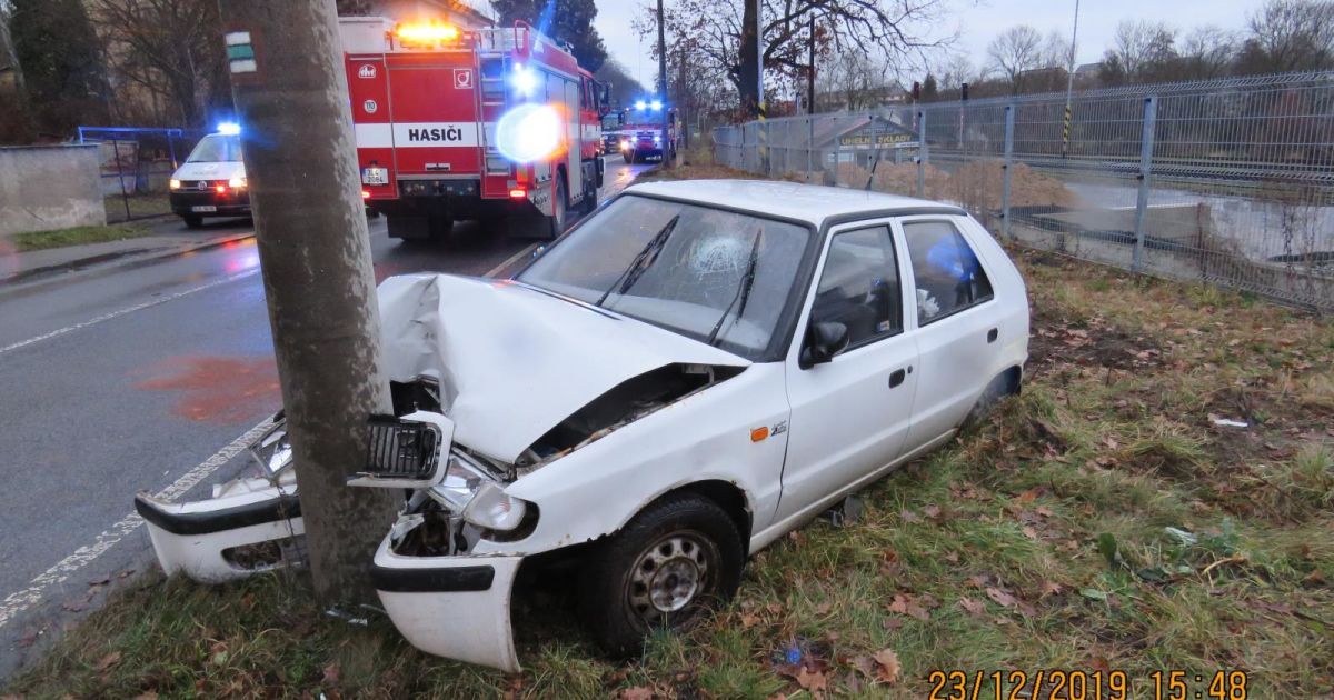 У Чехії різдвяний короп став винуватцем ДТП — Світ
