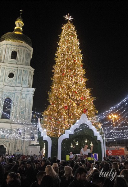 Ялинка на Софійській площі в Києві / © Getty Images