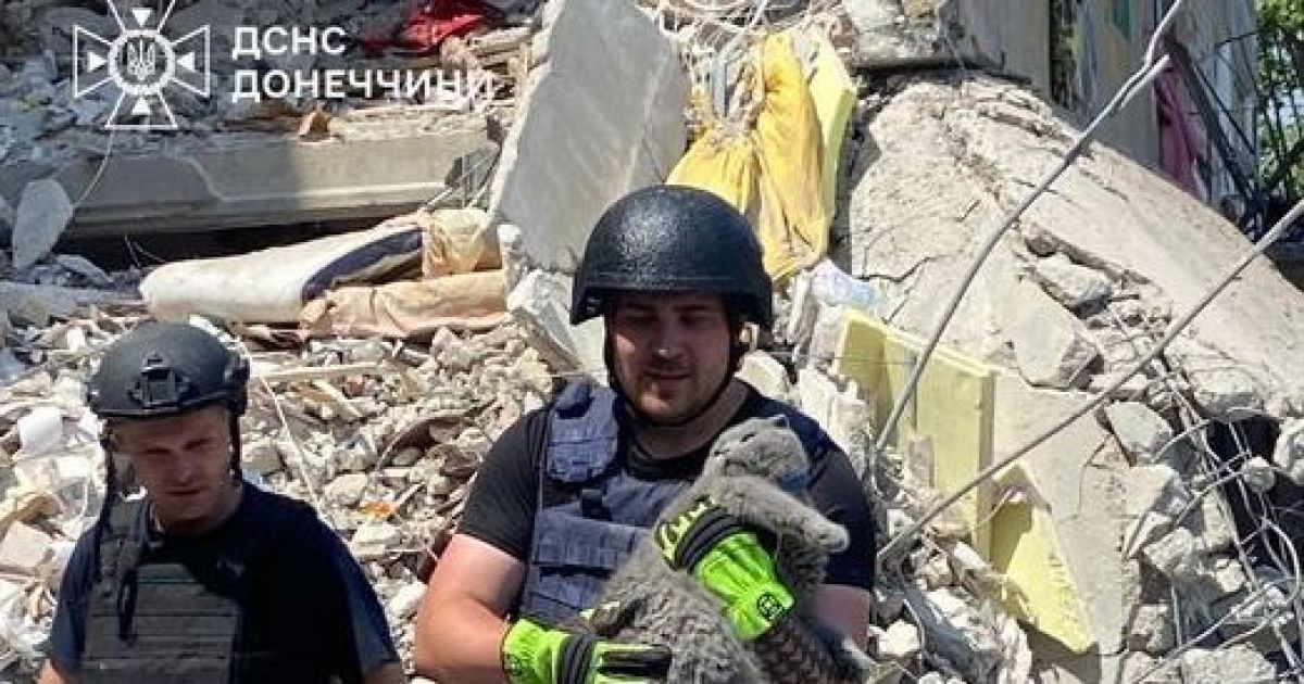 У Мирнограді на Донеччині з-під завалів зруйнованого будинку дістали кота