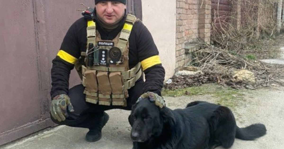 В Херсоне люди эвакуировались, а пса оставили привязанным у огромной воронки от ракеты