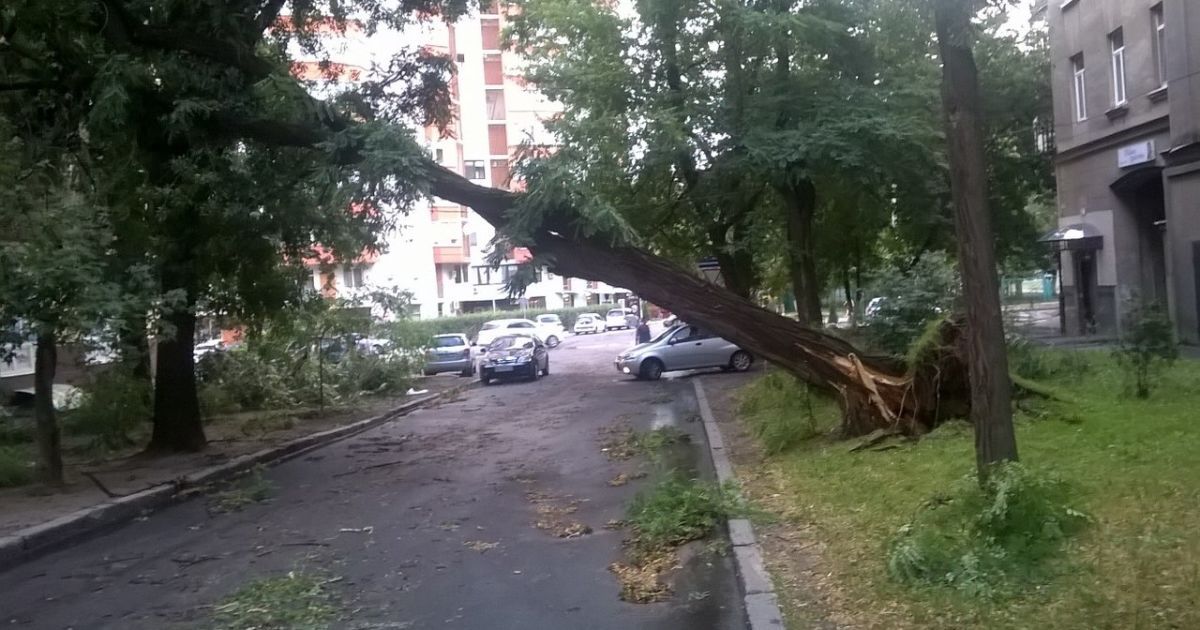 Ураган у Харкові: буревій потрощив сотні дерев та дахи, блискавка вбила чоловіка
