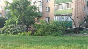 харків негода 18 липня_3 / © vk.com/Типичный Харьков