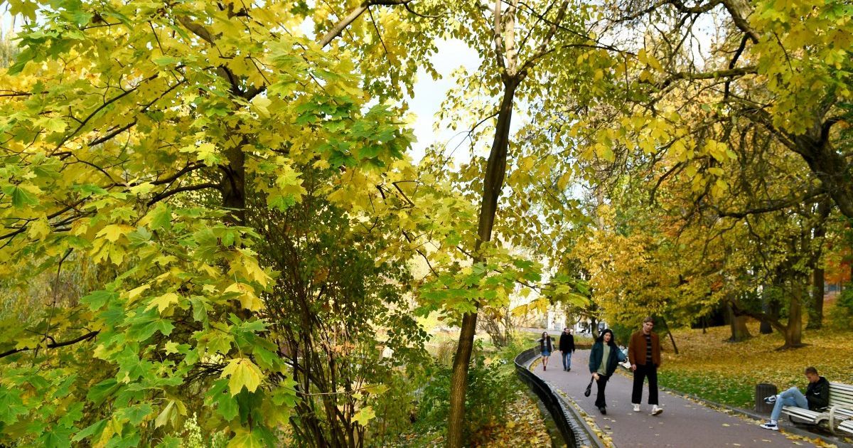 Дуже тепла субота та дощова неділя: якою буде погода в останні вихідні жовтня