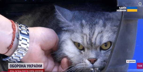 Кіт Тайсон / © ТСН