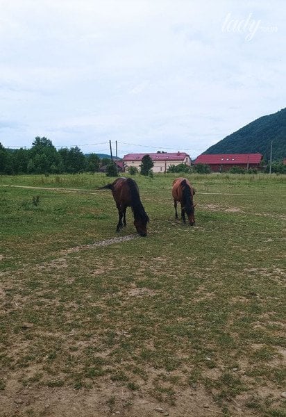 Село Солочин, відпочинок на Закарпатті / © lady.tsn.ua