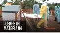 Влада Гвінеї повідомила про початок епідемії Ебола — "Секретні матеріали"
