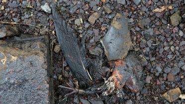 Вибух на хімічному заводі у Китаї_7 / © Reuters