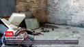 Новости Украины: крысиный террор в Одессе - стая грызунов заполонила двор студенческого общежития