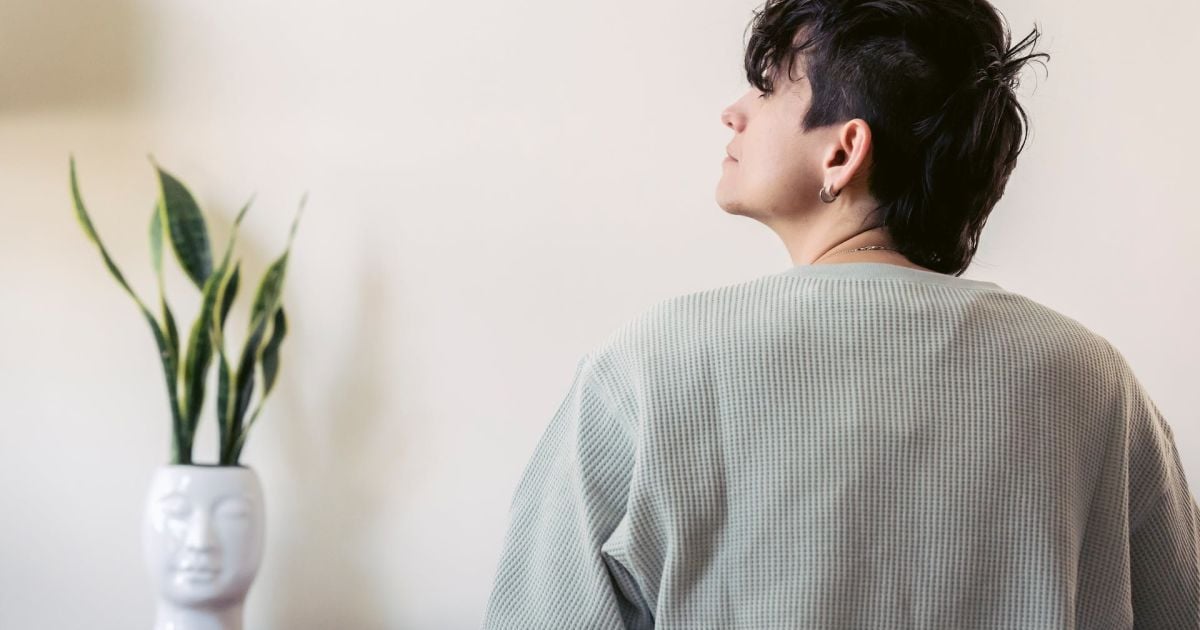 Сансев'єрія