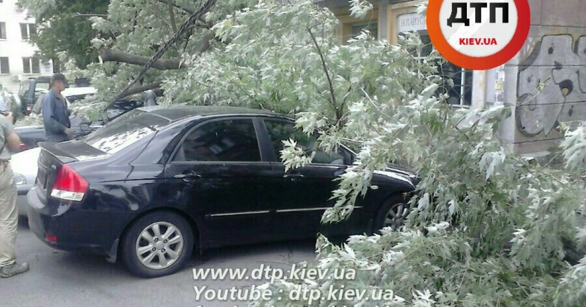 дерево впало на рейтарській_3 / © dtp.kiev.ua