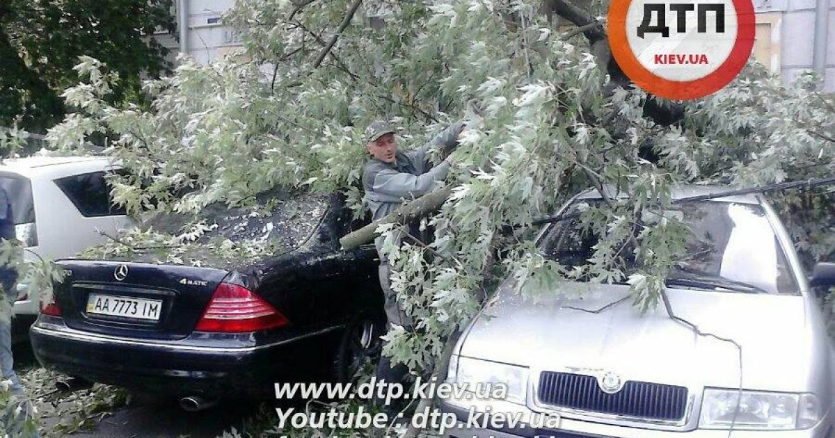 дерево впало на рейтарській_1 / © dtp.kiev.ua