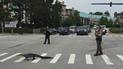 Во Флориде аллигатор перебежал дорогу по пешеходному переходу