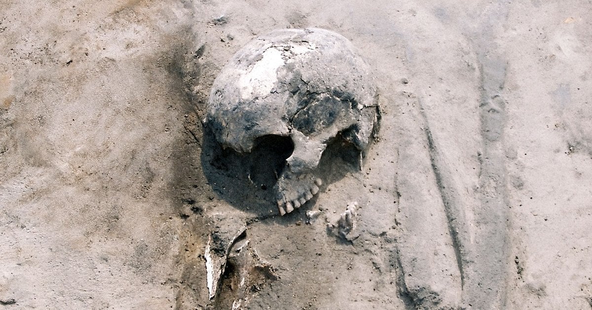 У Карчин-Вітові знайдено скелет жінки бронзової доби – однієї з найдавніших відомих жінок, що їли просо, у північній Польщі.