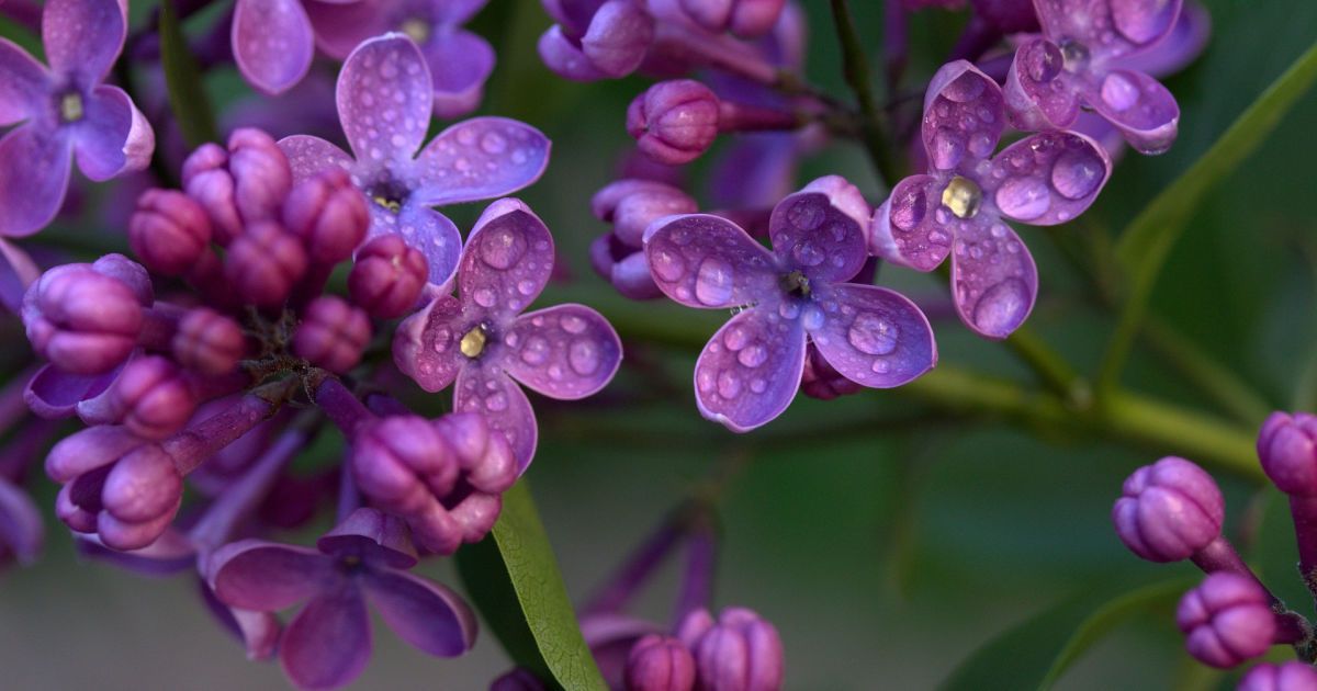 И солнце будет припекать, и дожди будут лить: прогноз погоды в Украине на выходные, 22-23 мая