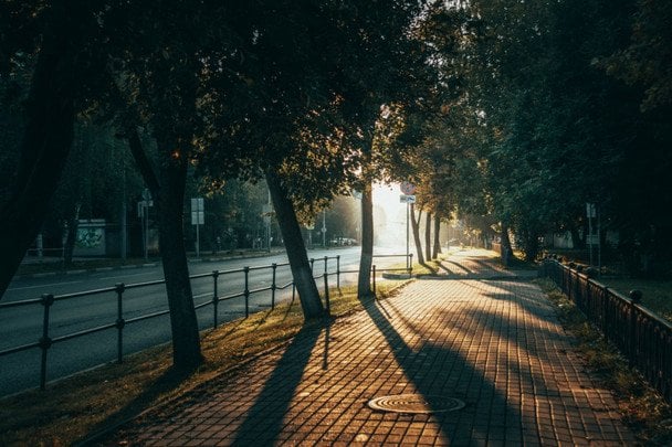 Народні прикмети 14 липня / © pexels.com